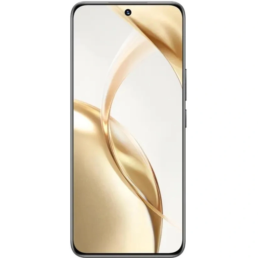 Смартфон Honor 200 8/256Gb Black фото 7